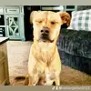 neilsingleton0723 - @neilsingleton0723 - TikTok