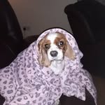 Neilus Slattery - @neilusslattery - Instagram