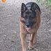 Neil Smallwood - Facebook