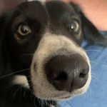 Neil Smart - @neil.smart - Instagram