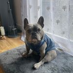 Neil Smart - @neilsmart71 - Instagram