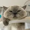 Neil Stacy - @neilstacy465 - TikTok