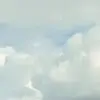 stacy_neil - @stacy_neil - TikTok