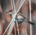 Neil Stapleton - Facebook