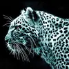Neil Stratton290 - @neilstratton290 - TikTok