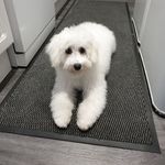 Neil Stratton - @strattonneil7 - Instagram