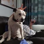 Neil Stratton - @neildstratton - Instagram