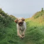 Neil Tate - @neiltate - Instagram