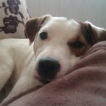 Neil Tate - @neil.tate05 - Instagram