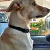 Neil Todd - @neil.todd5 - TikTok