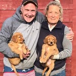 Neil Tolan - @tolanneil - Instagram