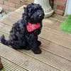 Neil Mattravers-Warren - @neil.mattraverswa - TikTok