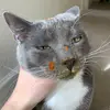 Neil Tuttle - @neil.tuttle - TikTok