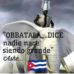 Neil Vazquez - @neilvazqez - Instagram
