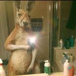 Neil Velez - @velez_neil_ - Instagram