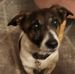 Neil Wakefield - Facebook