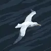 neilwakefield68 - @neilwakefield68 - TikTok