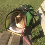 Neil Wallis - @tinkerbellassistance - Instagram