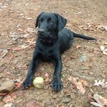 Neil walls - @wallsneil - Instagram