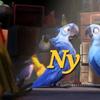 Ny - @neil_walter - TikTok