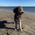 Neil Warner - @neil_warner99 - Instagram