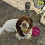 Neil Way - @neilway39 - Instagram