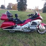 Neil Wayne - @neil.wayne.7359 - Instagram