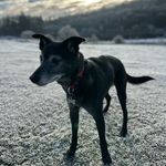 Neil Weaver - @neil.weaver1 - Instagram