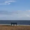 Neil Weiner - @neil.weiner5 - TikTok