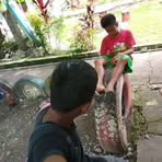 Neil Welvin Jandoc - Facebook