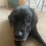 Neil Whaley - @whaley.neil - Instagram