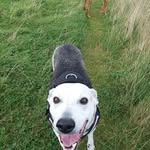 Neil Wheatley-Carr - @neilwheatleycarr - Instagram