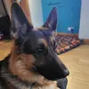 neilwheatley20 - @neilwheatley20 - TikTok