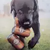 neilwilloughby49 - @neilwilloughby49 - TikTok