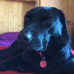 Neil Willson - @neil_willson - Instagram
