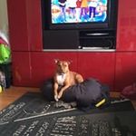 Neil Woolley - @neil_woolley - Instagram