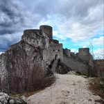 Nejra Halilović - @nejrahalilovic8 - Instagram
