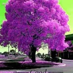 Nekeisha Smith - Facebook