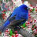 Nelda Bishop - Facebook