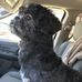 Nelda Bond Burke - Facebook