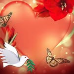 Nelda Carter Meixner - @ngcm_55 - Instagram