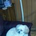Nelda Copeland - Facebook