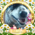 Nelda Daniels - @nelda.daniels.716 - Instagram