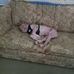 Nelda Franklin - Facebook