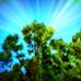 Nelda Hurst - Facebook