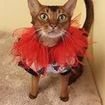 Nelda Kern - @neldakern - Instagram