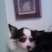 Nelda Lambert - Facebook