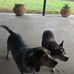 Nelda Lambert - Facebook