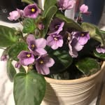 Nelda Hull Layton - @neldalayton - Instagram