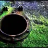 neldamoore37 - @neldamoore37 - TikTok
